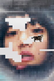 あいみょん – 猫にジェラシー